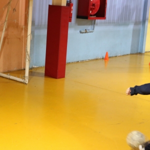 Día de la Actividad Física